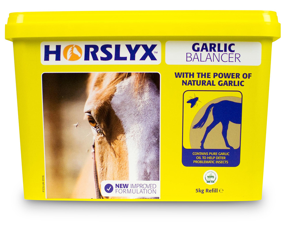 Horslyx Garlic 5 kg